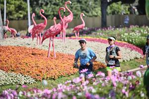 BIB: 
                            <button type="button" onclick="openModal(27793291)" class="btn btn-primary btn-sm float-right btn-popup" data-toggle="modal" data-target=".modal-high-quality">
                        <i class="fas fa-shopping-cart"></i> Add to Cart
                    </button>
                                            <button type="button" onclick="isThisMe(27793291, true)" class="btn btn-success btn-sm float-right btn-popup btn-isme hidden" data-toggle="tooltip" data-placement="bottom" title="นี่คือรูปของคุณใช่ไหม คลิกที่นี่เพื่อเอาเข้าอัลบั้ม">
                        <i class="fas fa-plus"></i> Add to album
                    </button>
                    <button type="button" onclick="isThisMe(27793291, false)" class="btn btn-warning btn-sm float-right btn-popup btn-isnotme hidden">
                        <i class="fas fa-ban"></i> Remove from album
                    </button>